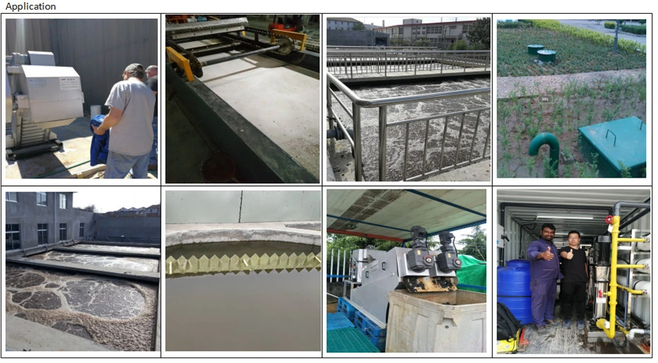 CE/ISO/SGS Oily and Grease Removal Sewage Treatment Vertical Dissolved Air Flotation