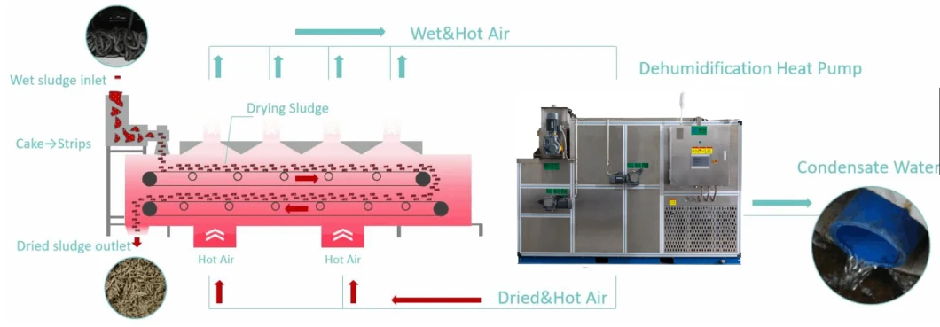 Low Temperature Sludge Dewatering Machine Mud Drying Machine